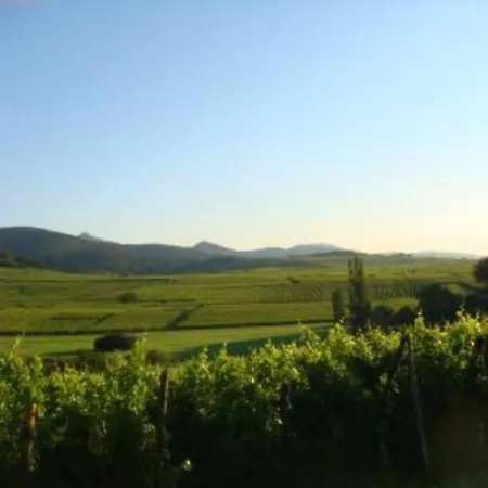 Vue Sur Vignes