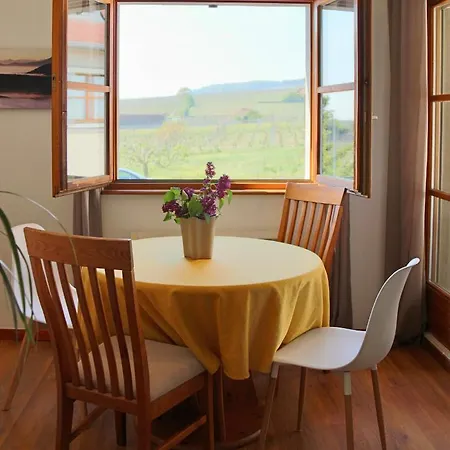 Vue Sur Vignes Appartement Riquewihr