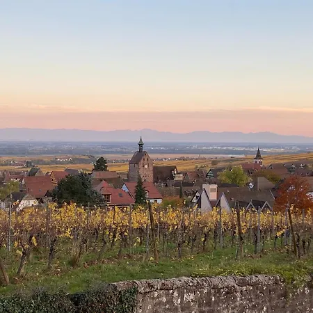 Vue Sur Vignes Apartment Riquewihr