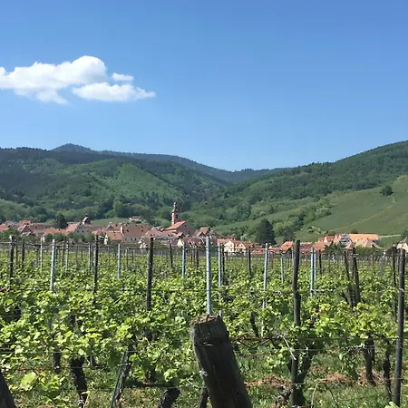 Appartement Vue Sur Vignes